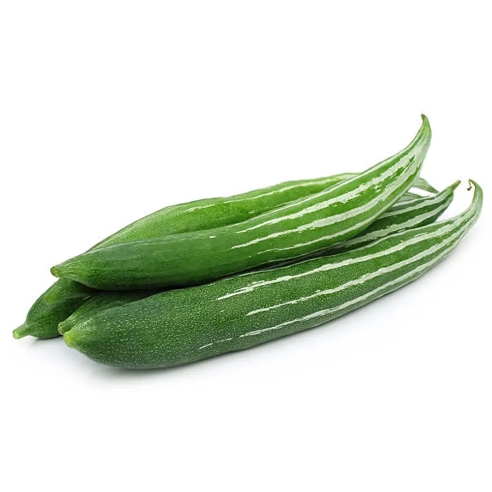 Snake gourd
